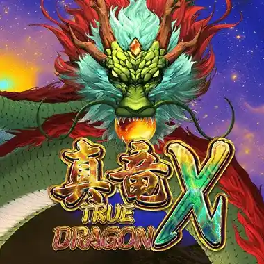 True Dragon X